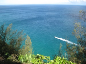 uitzicht op zee tijdens een wandeling | Kauai